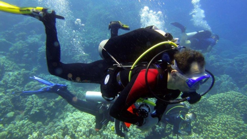 Safari Nurkowe M. Czerwone