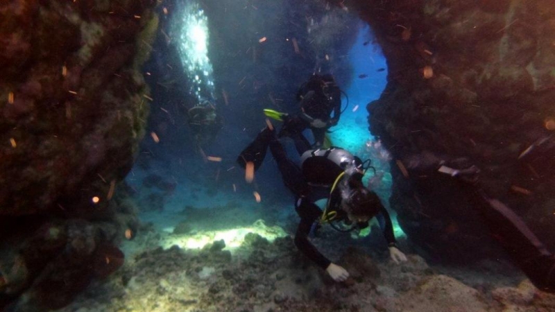 Safari Nurkowe M. Czerwone