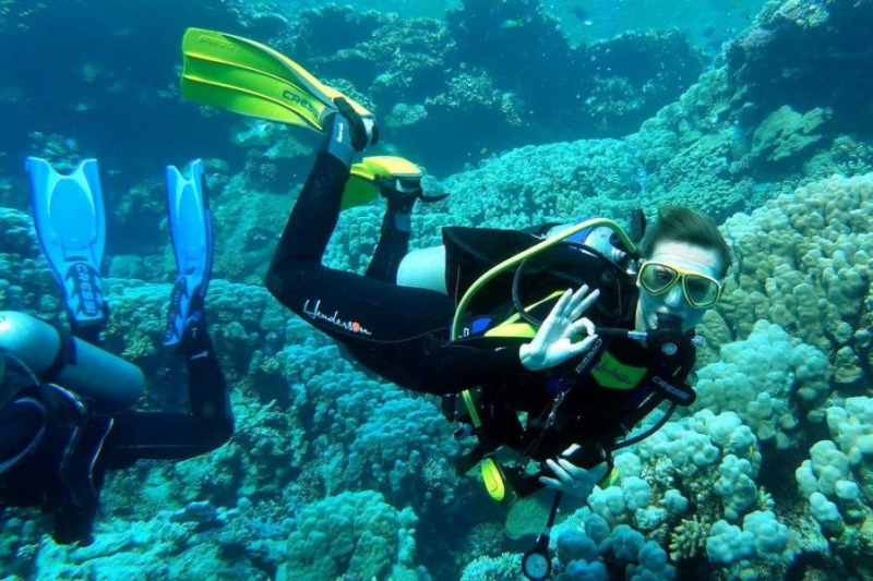 Safari Nurkowe M. Czerwone