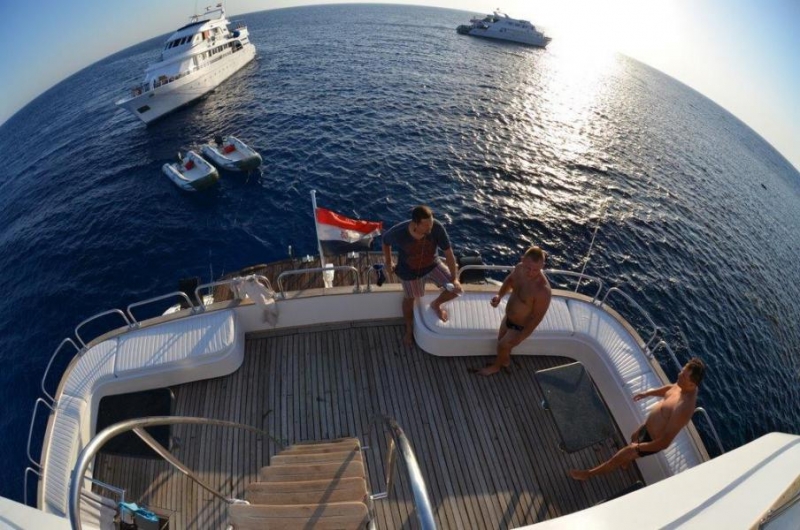 Safari Nurkowe M. Czerwone