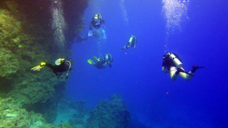 Safari Nurkowe M. Czerwone