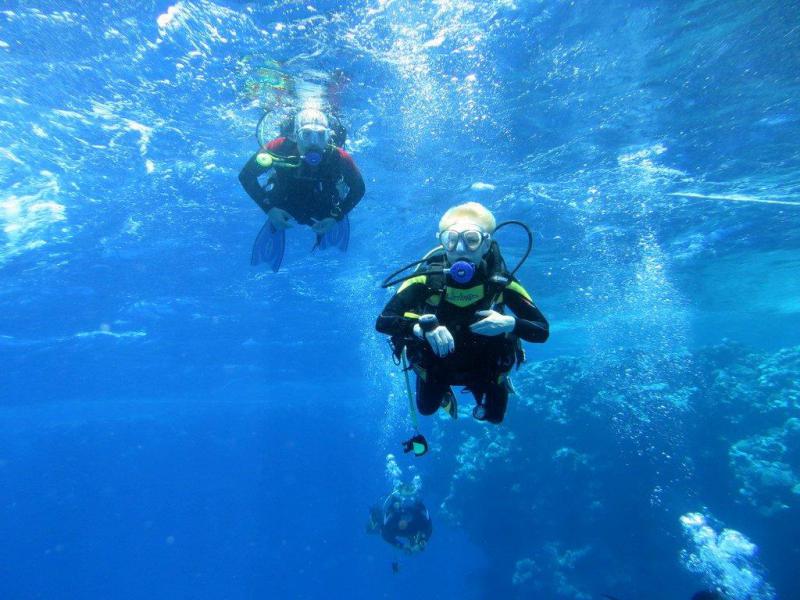 Safari Nurkowe M. Czerwone