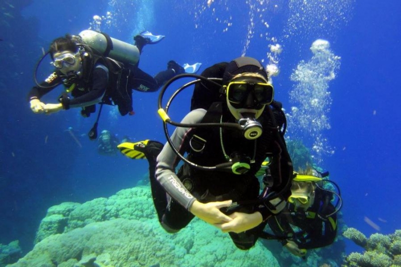 Safari Nurkowe M. Czerwone