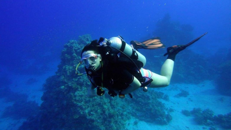 Safari Nurkowe M. Czerwone