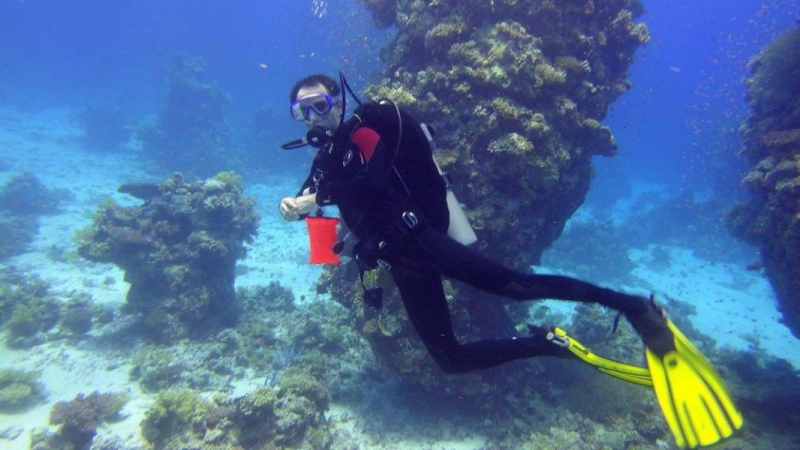 Safari Nurkowe M. Czerwone