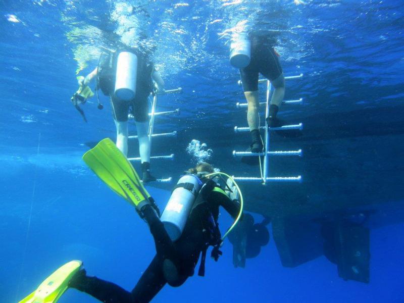 Safari Nurkowe M. Czerwone