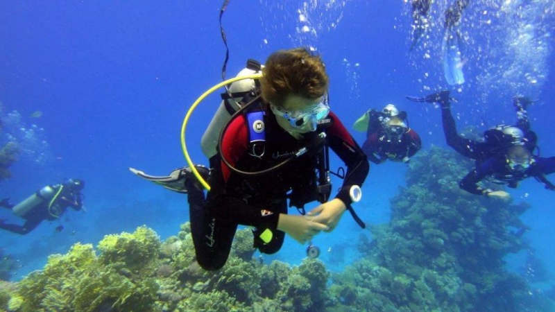 Safari Nurkowe M. Czerwone