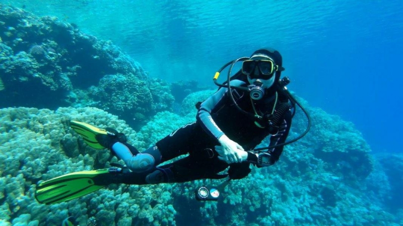 Safari Nurkowe M. Czerwone