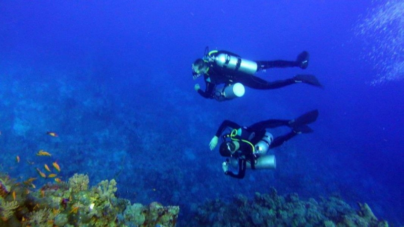 Safari Nurkowe M. Czerwone