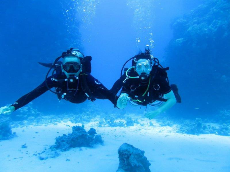 Safari Nurkowe M. Czerwone