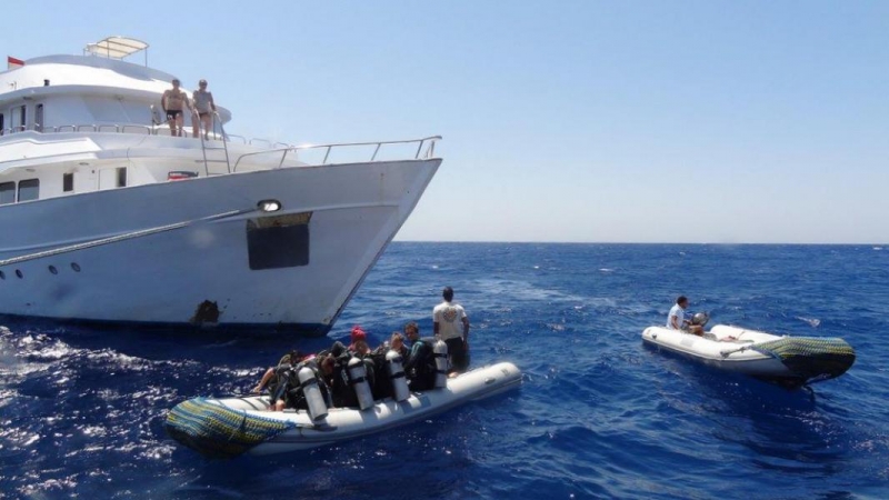 Safari Nurkowe M. Czerwone