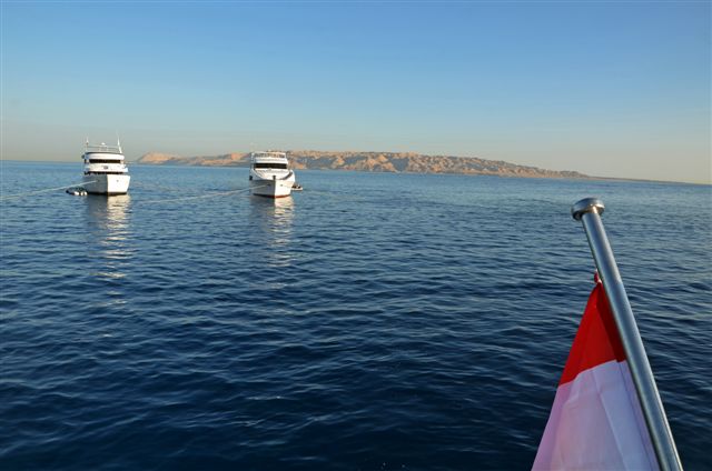 Safari w obiektywie Kasi