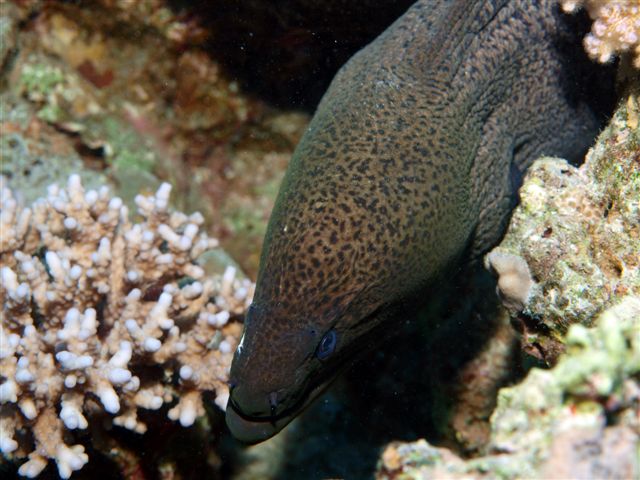 Safari w obiektywie Kasi