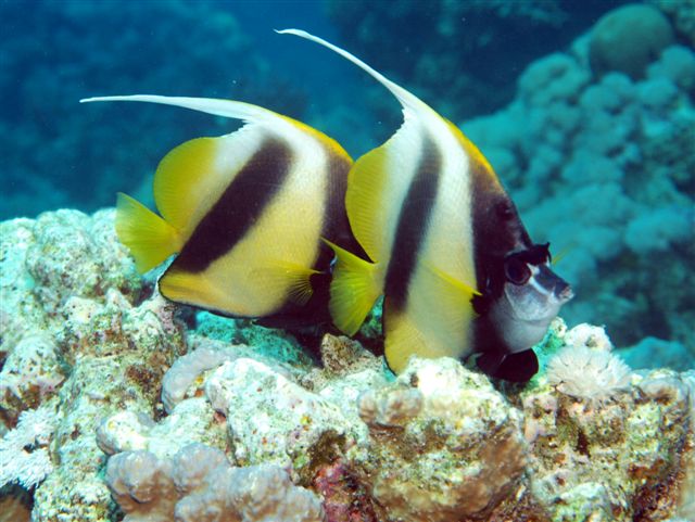 Safari w obiektywie Kasi