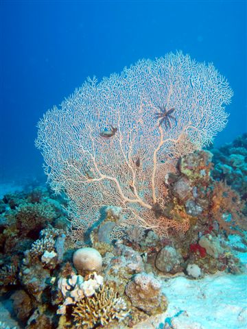 Safari w obiektywie Kasi