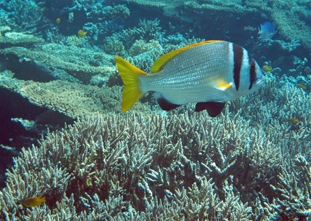 Safari w obiektywie Kasi