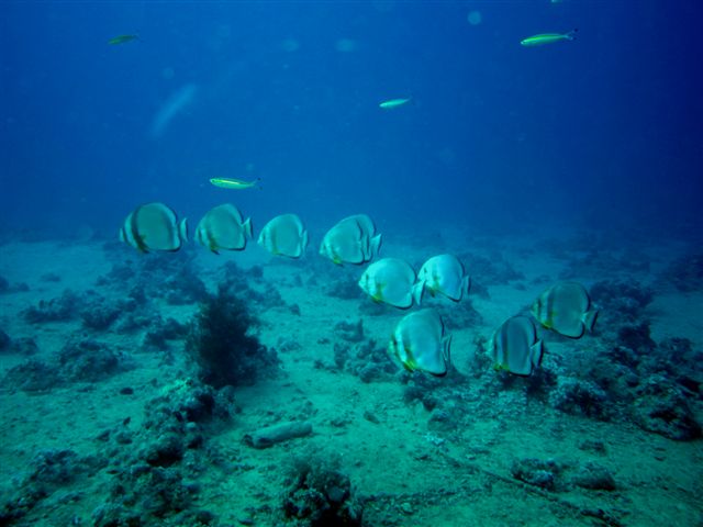 Safari w obiektywie Kasi