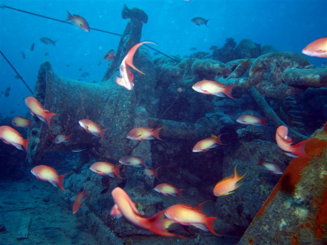 Safari w obiektywie Kasi