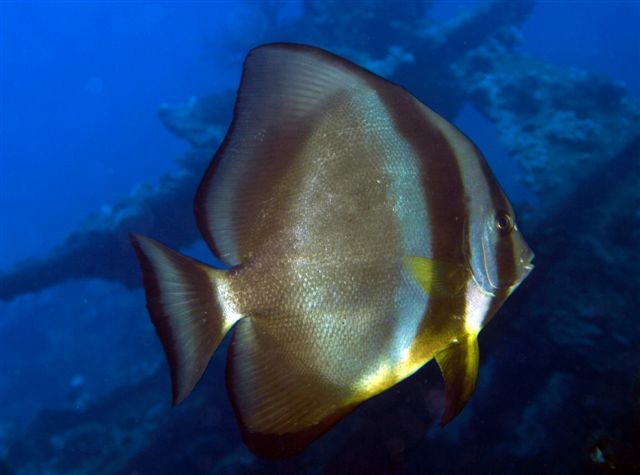 Safari w obiektywie Kasi