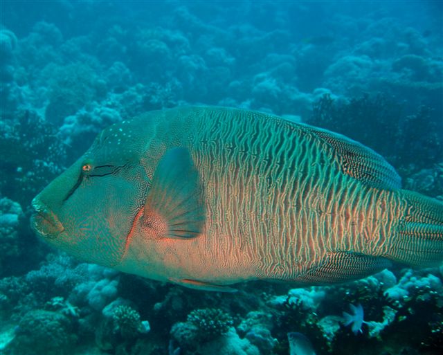 Safari w obiektywie Kasi