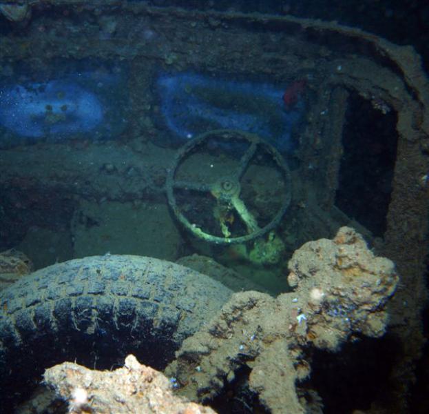 Safari w obiektywie Kasi