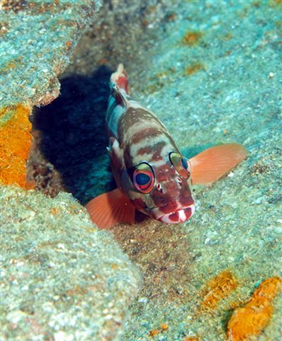 Safari w obiektywie Kasi