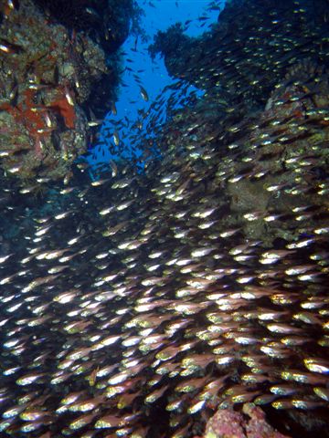 Safari w obiektywie Kasi