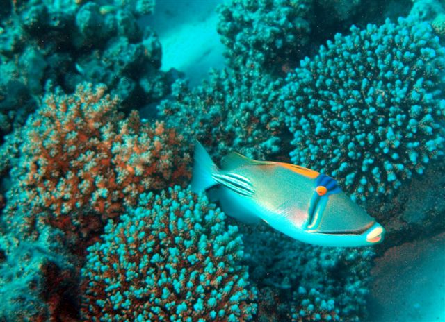 Safari w obiektywie Kasi