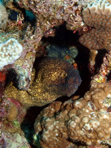 Safari w obiektywie Kasi