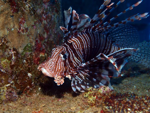 Safari w obiektywie Kasi