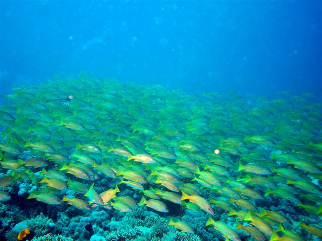 Safari w obiektywie Kasi