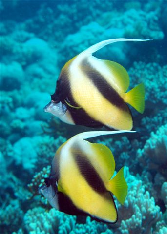 Safari w obiektywie Kasi