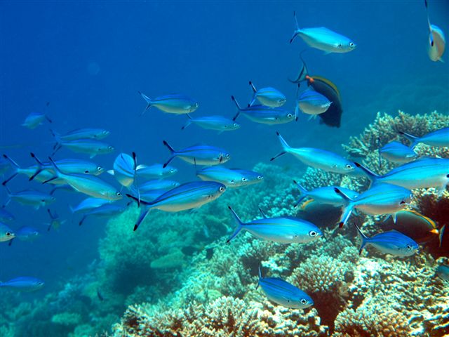 Safari w obiektywie Kasi