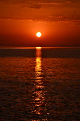 Safari w obiektywie Kasi