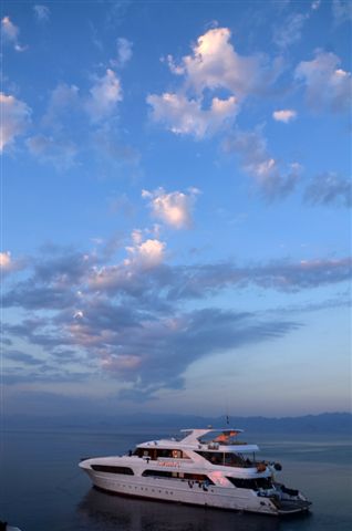 Safari w obiektywie Kasi