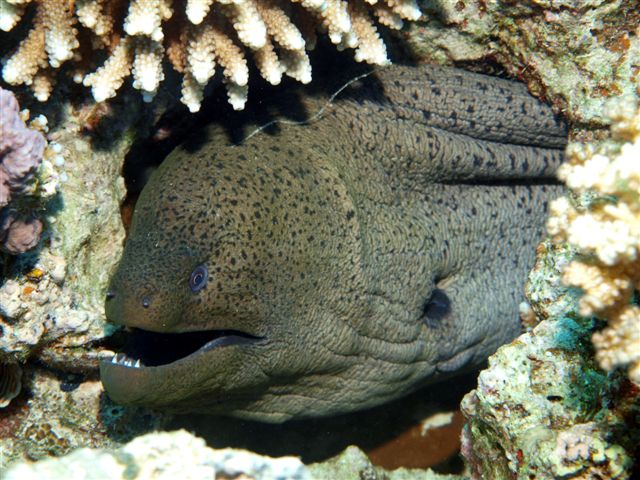 Safari w obiektywie Kasi