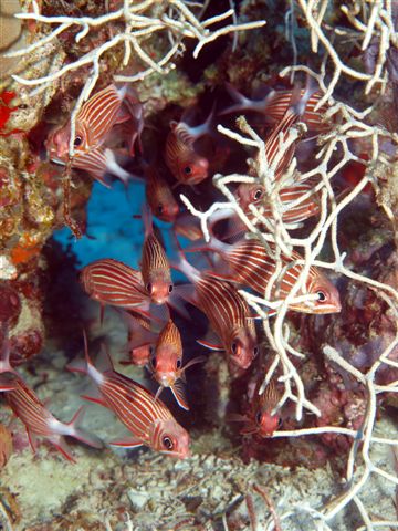 Safari w obiektywie Kasi