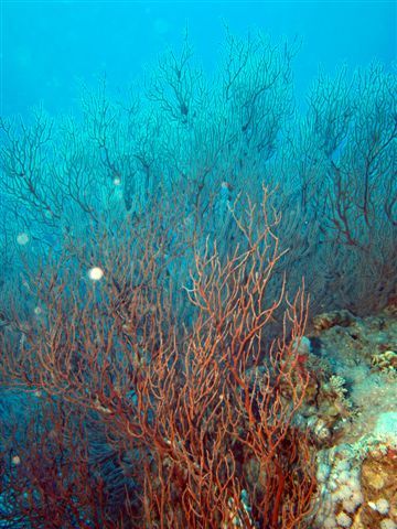 Safari w obiektywie Kasi