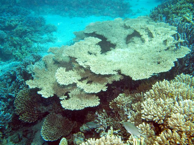 Safari w obiektywie Kasi