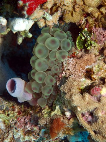 Safari w obiektywie Kasi