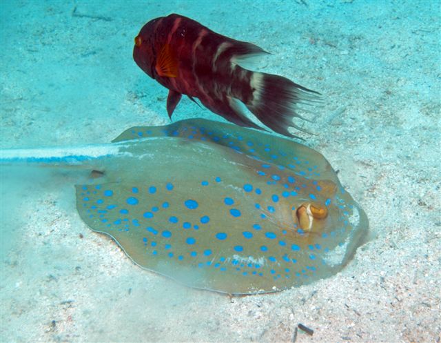 Safari w obiektywie Kasi