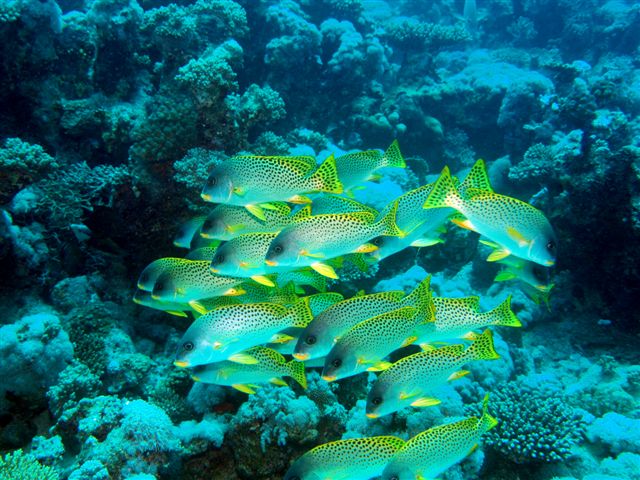 Safari w obiektywie Kasi