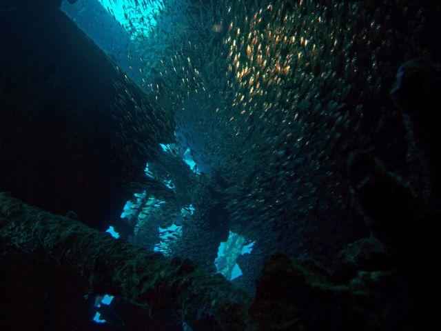 Safari w obiektywie Kasi