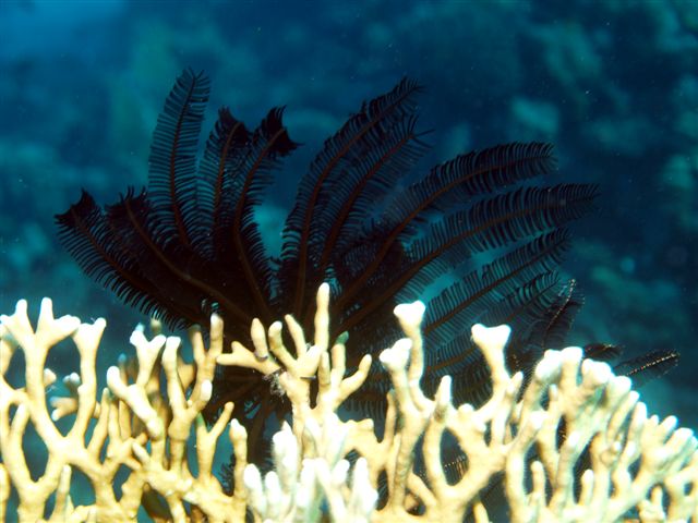 Safari w obiektywie Kasi