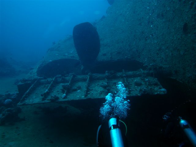 Safari w obiektywie Kasi