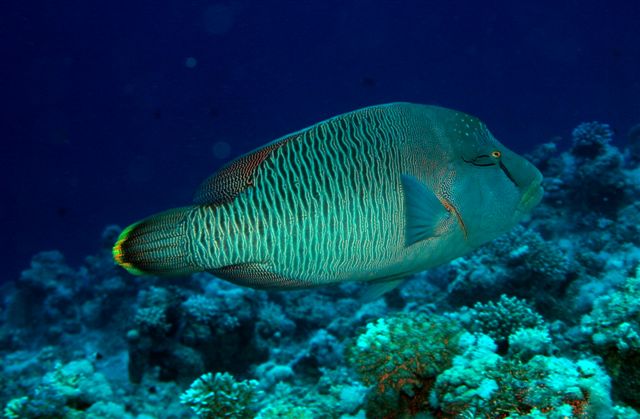 Safari w obiektywie Kasi