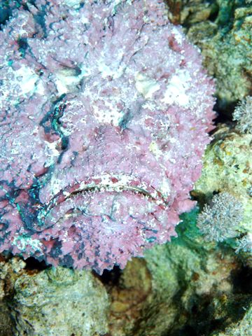 Safari w obiektywie Kasi