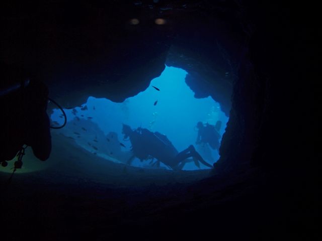 Safari w obiektywie Kasi