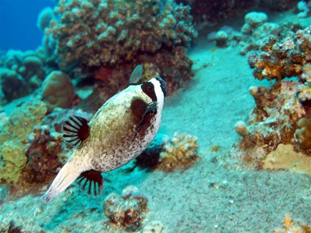 Safari w obiektywie Kasi