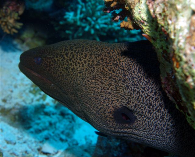 Safari w obiektywie Kasi